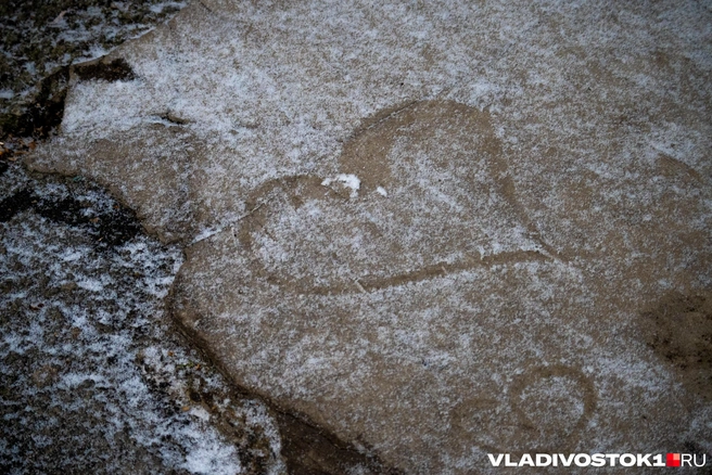 Снег в декабре будет, но не сейчас | Источник: Елена Буйвол / VLADIVOSTOK1.RU