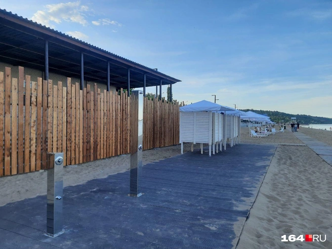 Источник: Сергей Гендин / 164.RU