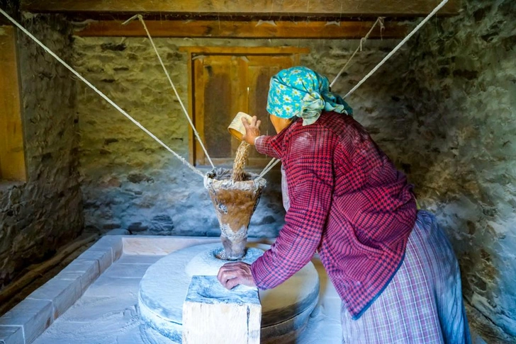 Источник: angela Meier/Shutterstock/Fotodom.ru