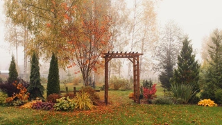 Готовим сад к зиме: советы ландшафтного дизайнера