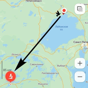 Источник: Нижне-Свирский заповедник 