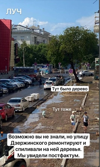 О том, что деревья убирают, жителей никто не предупредил | Источник: Надежда Воскресенская / Telegram