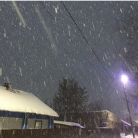 Аватарка L.Rina