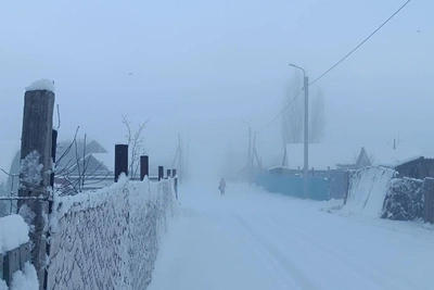 В Волгограде за ночь выпало 25 сантиметров снега