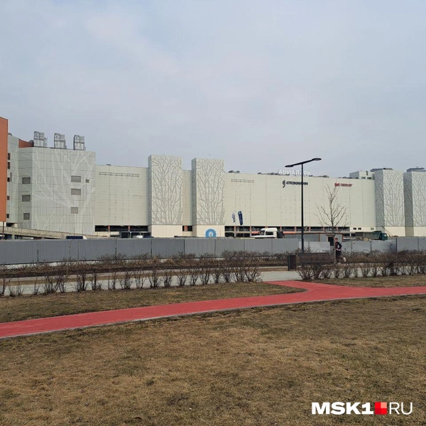 Источник: Арина Майорова / MSK1.RU