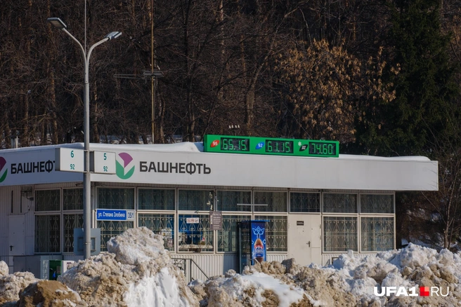 Или погулять на заправке | Источник: Булат Салихов / UFA1.RU