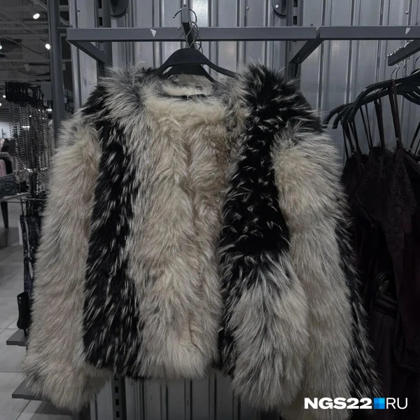 Источник: Полина Шевчукова / NGS22.RU