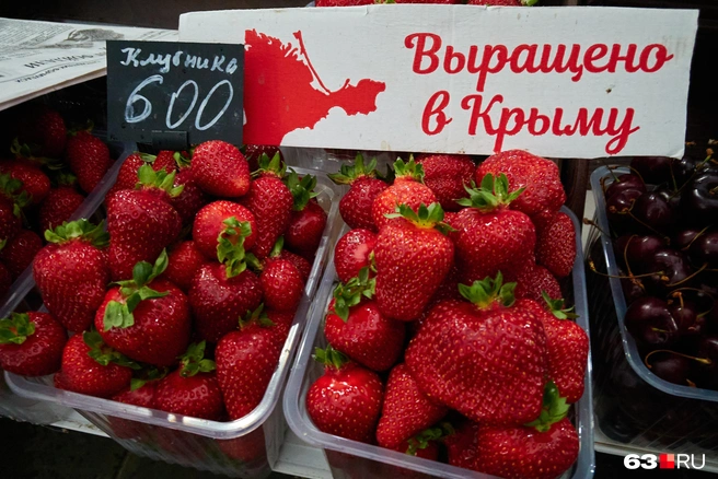 Кажется, это сорт «Азия», который дает такие крупные и мясистые ягоды | Источник: Роман Данилкин / 63.RU