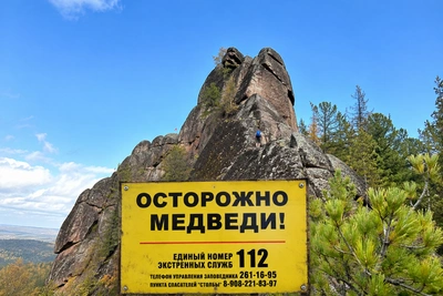Красноярские Столбы закрыли из-за медведей