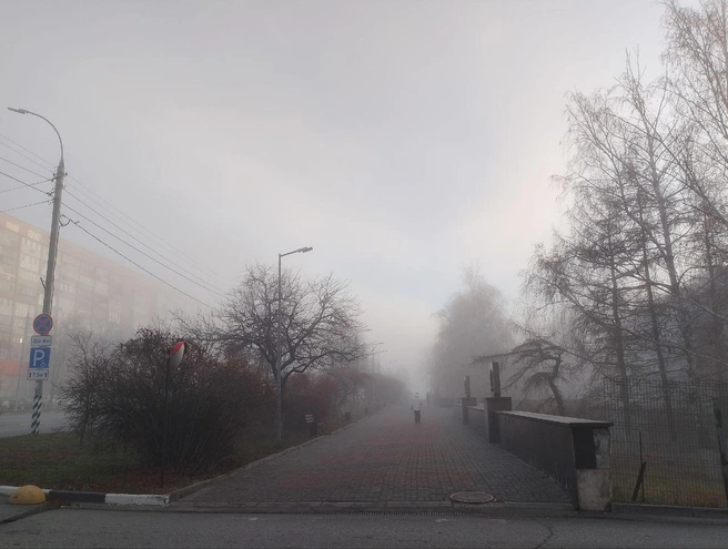 В выходные в Ульяновске ожидаются гололед и ураган | Источник: Дмитрий Сильнов / 173. RU