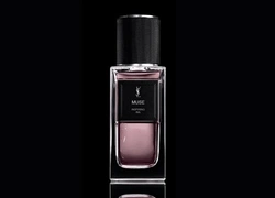 YSL Beauty выпустил нишевый парфюм MUSE с ароматом чернил