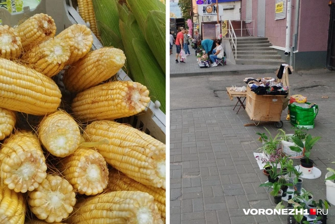 На улицах продают всё — от кукурузы до розмарина | Источник: Дмитрий Волгин / Voronezh1.ru
