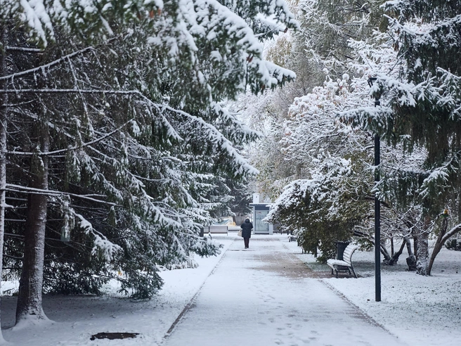 В Новосибирске прогнозируют снижение температуры до -10°C | Источник: Александр Ощепков / NGS.RU