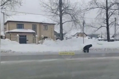 Житель Урала чуть не спровоцировал серию аварий