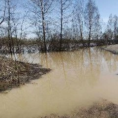 Источник: www.city-n.ru