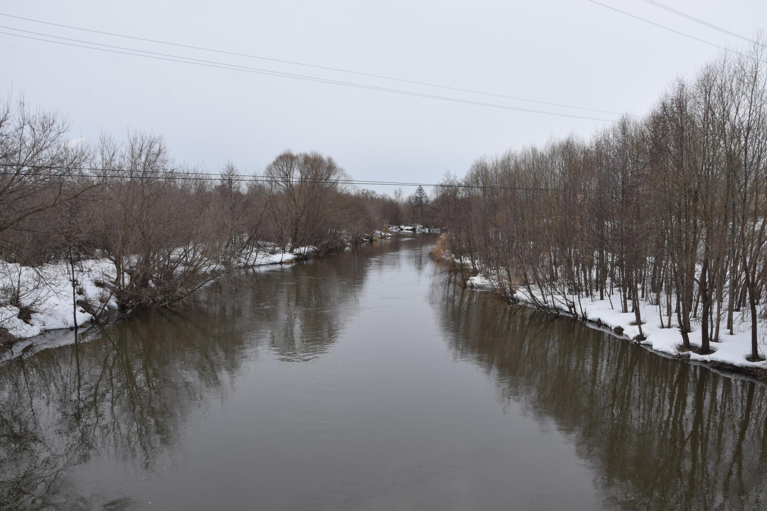 В Ульяновске на выходных ожидаются туман и осадки