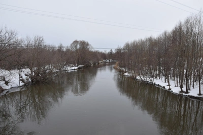 Ульяновцев ждут туман и осадки на выходных