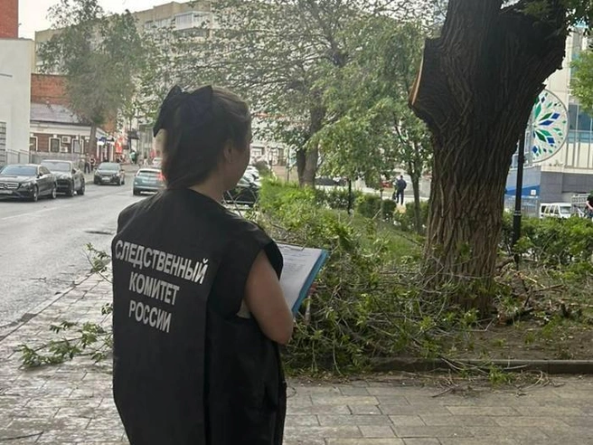 На месте уже работают следователи | Источник: СУ СК по Саратовской области