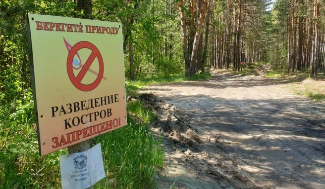 За нарушение правил предусмотрена административная, а иногда и уголовная ответственность | Источник: Александр Моор / Telegram