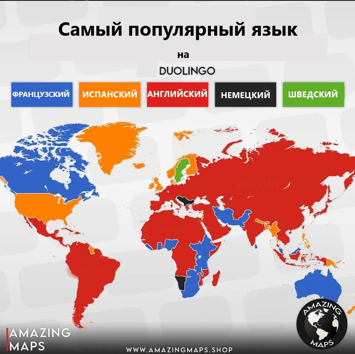 Карта: Какие языки учат в разных странах мира?