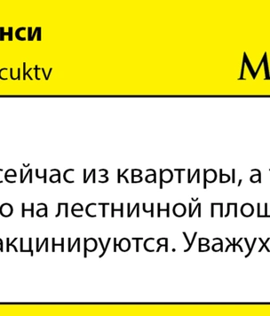 Шутки пятницы и дикие лебеди