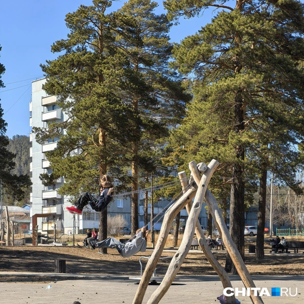 Источник: Дарья Кливенкова / CHITA.RU