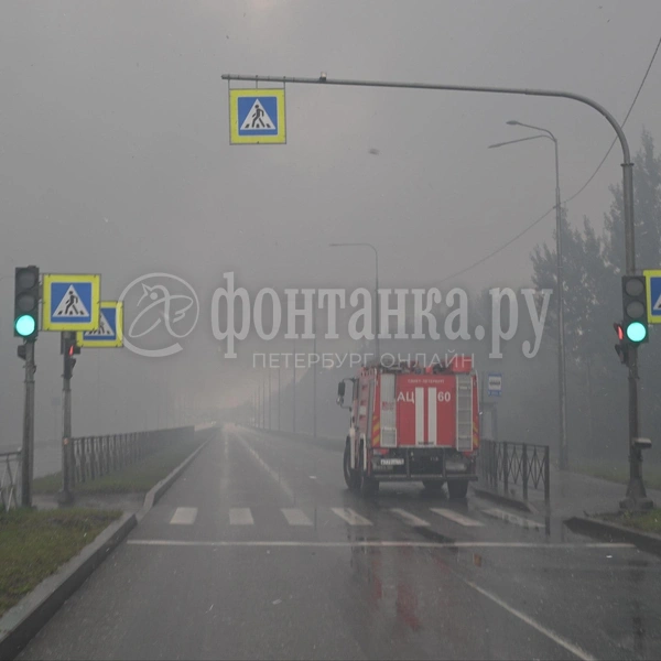Источник: FONTANKA.RU