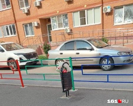 Источник: читатель 161.RU