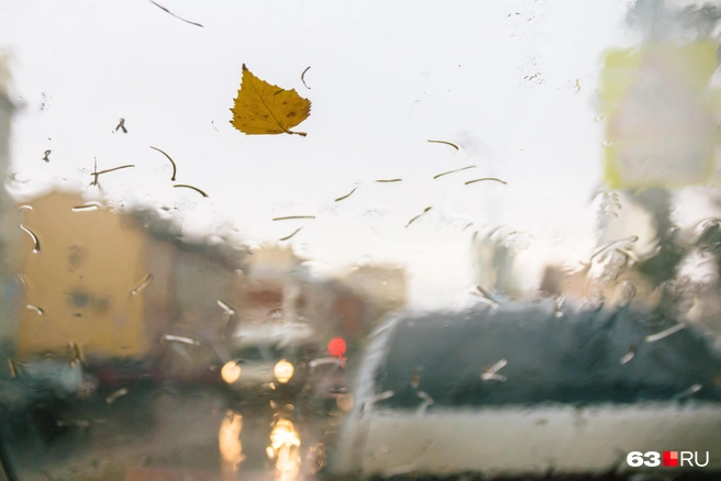 Последний день сентября будет дождливым | Источник: Роман Данилкин / 63.RU