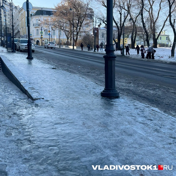Источник: Елена Буйвол / VLADIVOSTOK1.RU
