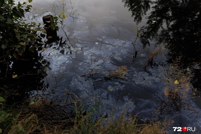 Вы только посмотрите на эту маслянистую воду. Почему она такая&nbsp;— неизвестно | Источник: Ирина Шарова / 72.RU