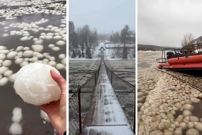 Учёный объяснил появление «яиц дракона» на реке Усьва