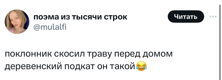 Шутки вторника и апокалипсис с цитрусовым ароматом