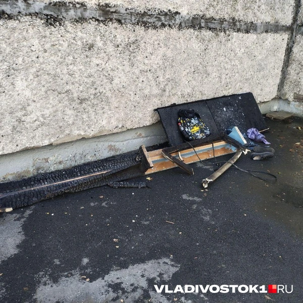 Источник: Екатерина Дымова / VLADIVOSTOK1.RU