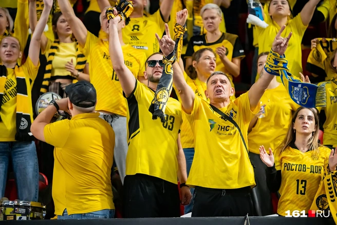 Источник: Евгений Вдовин / 161.RU