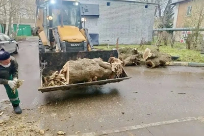 «Ожидаем затяжные осадки»: мэр Нижнего — о последствиях ветра