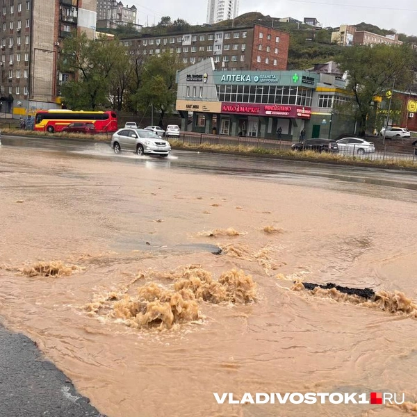 Источник: Елена Буйвол / VLADIVOSTOK1.RU
