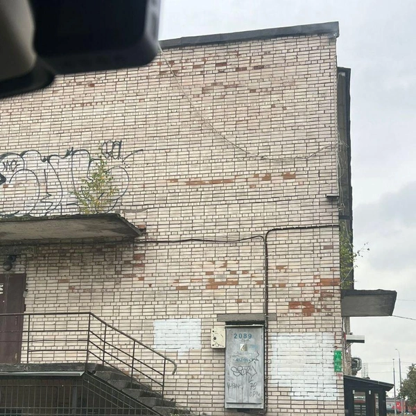 Источник: приют «Новый дом»