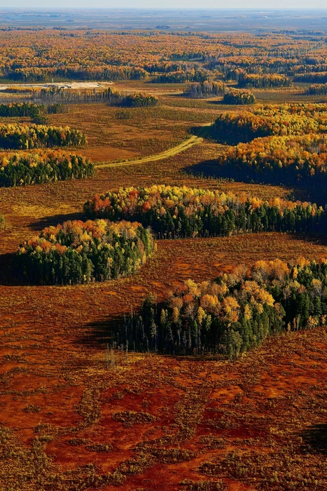 Источник: Фотограф Ирина Лаптева Ханты-Мансийск / Vk.com