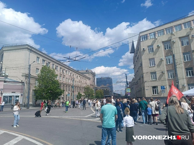 Источник: Алёна Воропаева / Voronezh1.ru