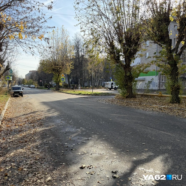 Кататься здесь в сухую погоду особенно приятно | Источник: Нелли Козловская / YA62.RU