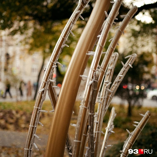 Источник: Дарья Паращенко / 93.RU