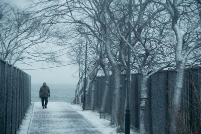 В Архангельской области ждут потепление и метели