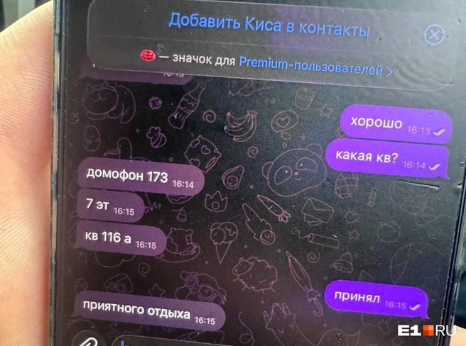 Переписка с оператором | Источник: предоставлено Дмитрием Чукреевым