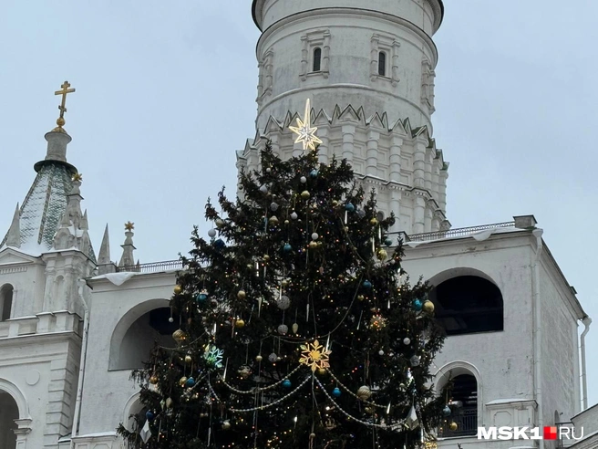 Главная новогодняя ель России 2026 года | Источник: Артем Устюжанин / MSK1.RU