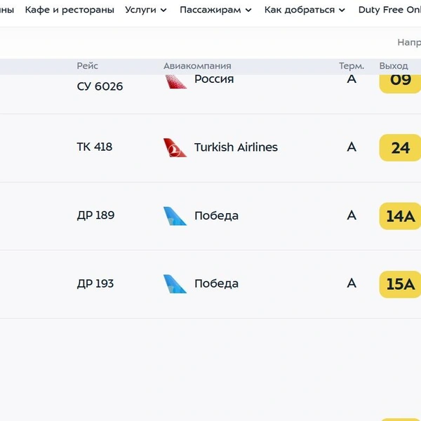 Также задерживается борт в Стамбул | Источник: Аэропорт «Внуково»