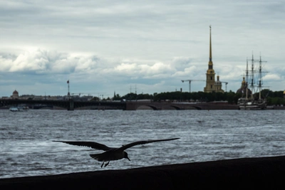 Запрет на посадку вертолётов в Петропавловской крепости продлён до конца 2026 года
