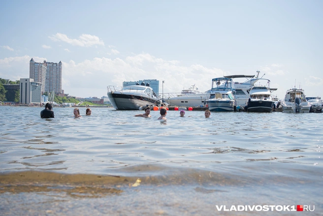 Источник: Елена Буйвол / VLADIVOSTOK1.RU