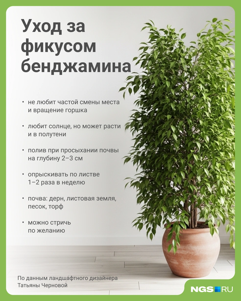 Источник: Юрий Орлов / Городские медиа