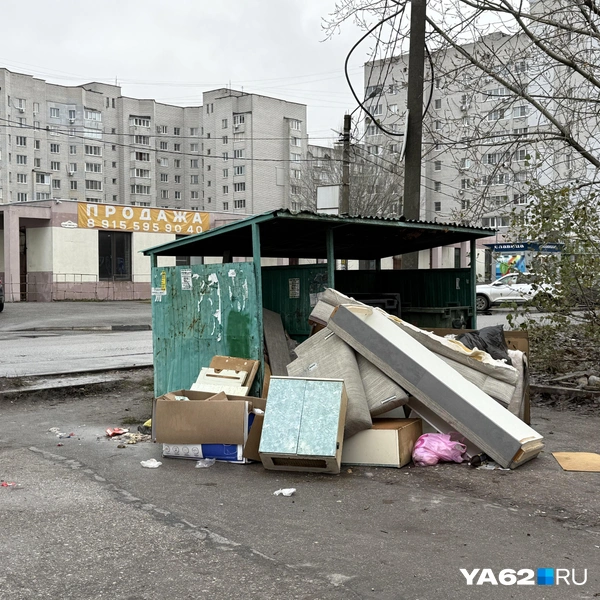 К сожалению, такой пейзаж довольно типичен для Недостоева | Источник: Сергей Петунин / YA62.RU